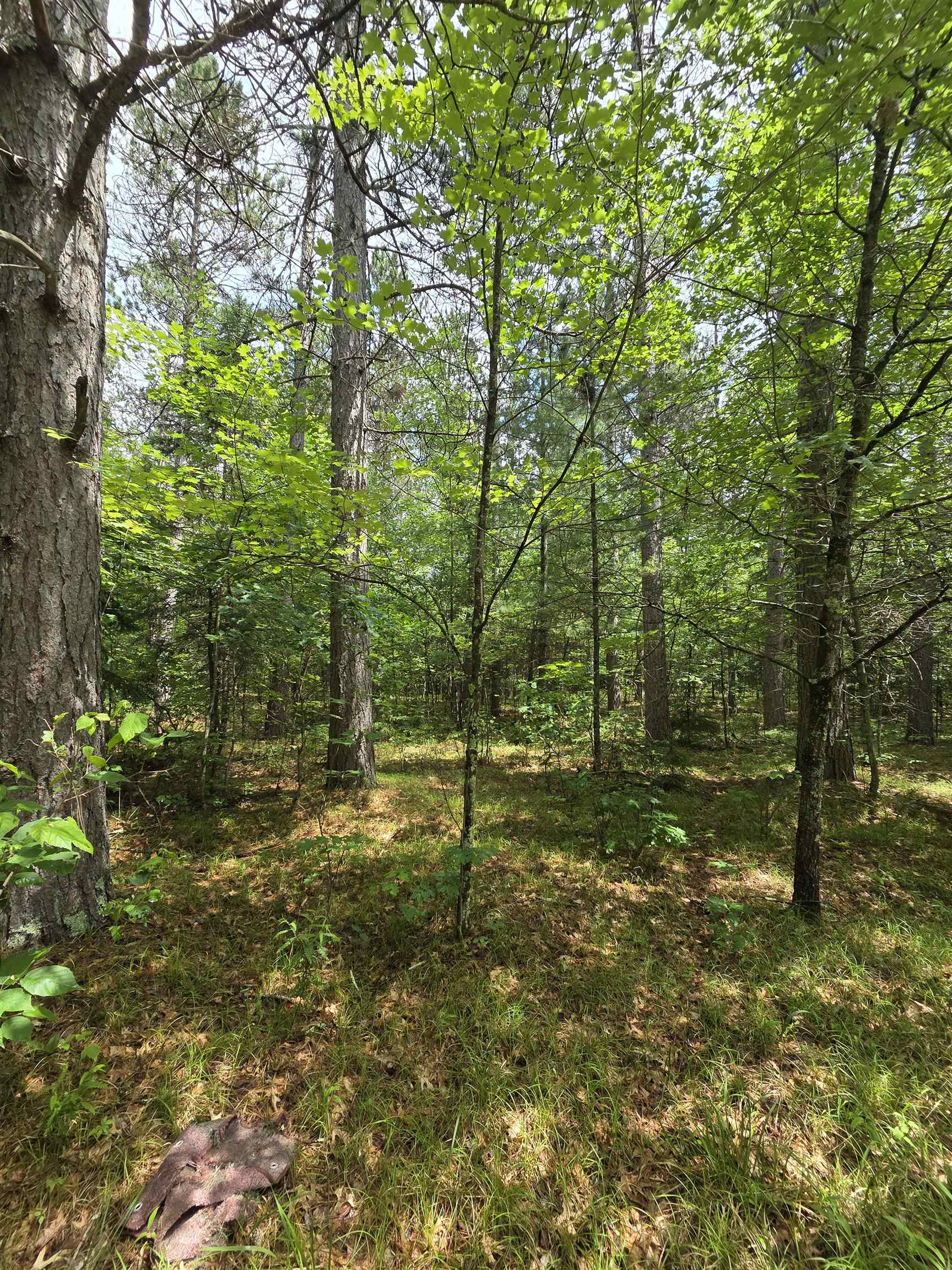 Tower Road Athelstane, WI 54104 - Photo 12 of 25