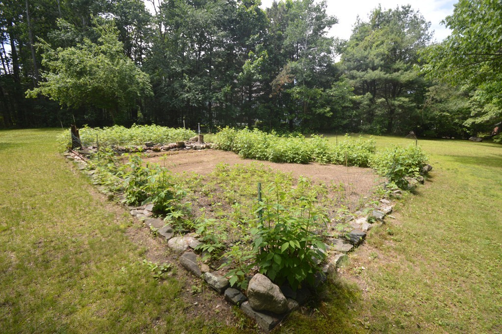 225 Willis Road Sudbury, MA 01776 - Photo 8 of 25 Gallery Image 8