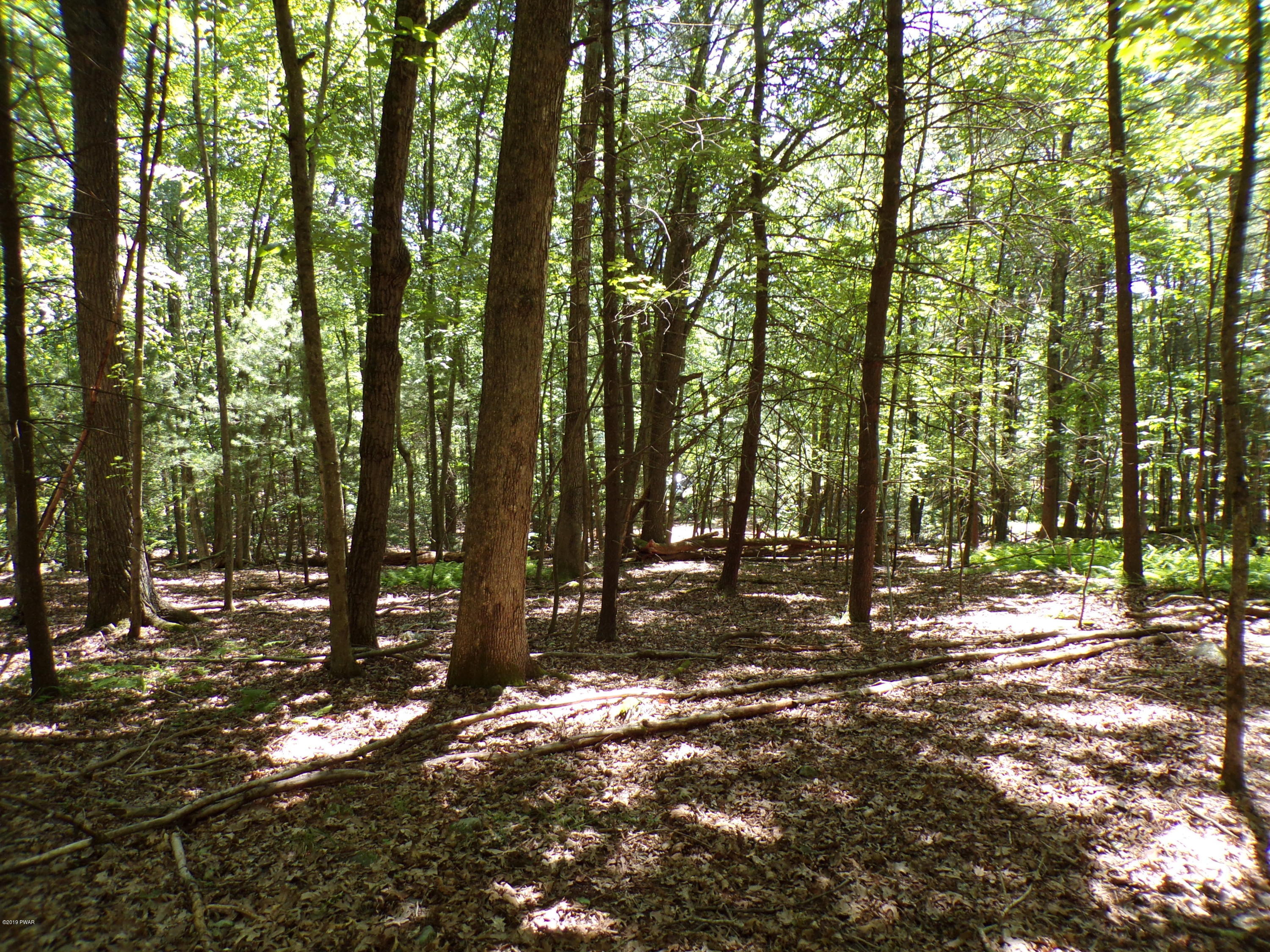 3 Spruce Street Lake Ariel, PA 18436 - Photo 7 of 9