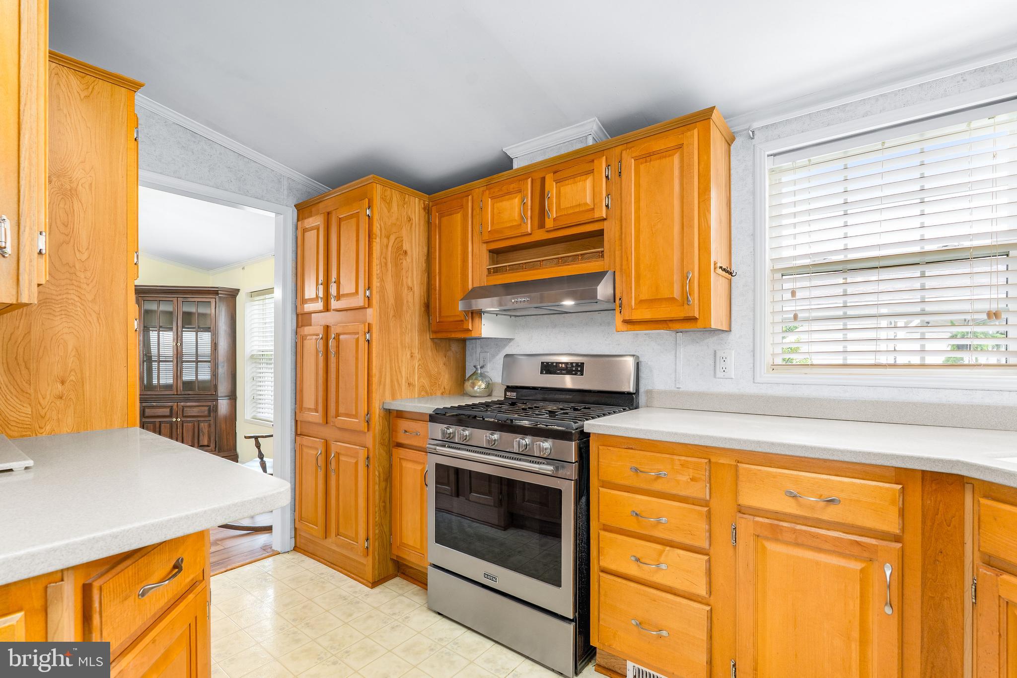 77 Woods Way Elkton, MD 21921 - Photo 14 of 31 AMPLE CABINET SPACE