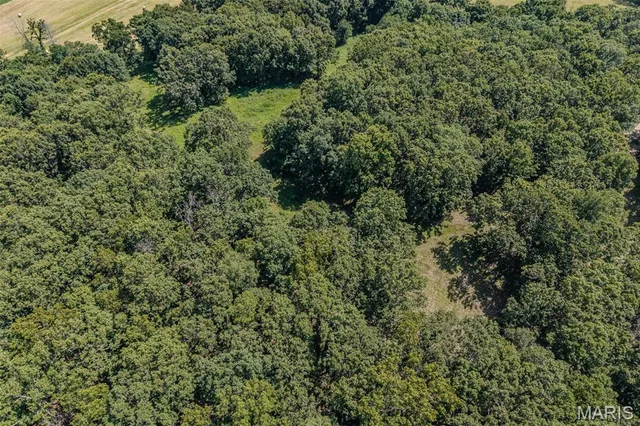 $599,900 | Tbd Peoria Drive, Lebanon, MO 65536