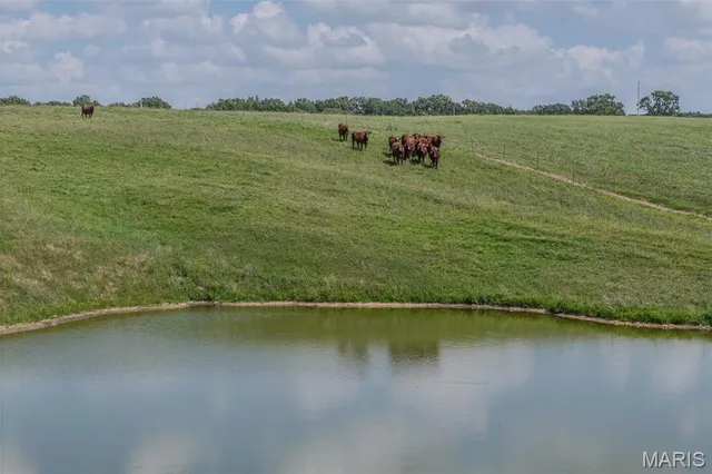 $599,900 | Tbd Peoria Drive, Lebanon, MO 65536