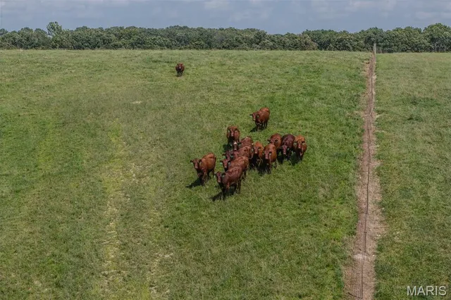 $599,900 | Tbd Peoria Drive, Lebanon, MO 65536