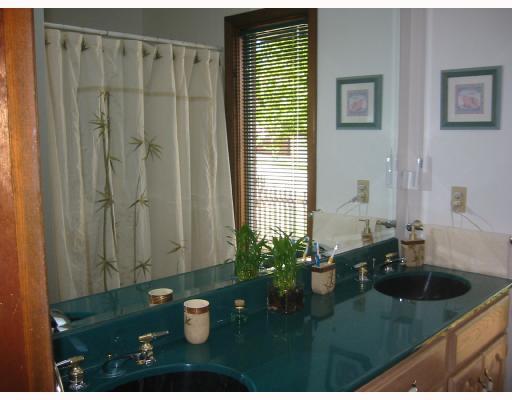 504 Ridge Avenue Springdale, PA 15144 - Photo 6 of 8 Master Bath/Spa. One of THREE full baths, the master has twin lavs and a skylight.