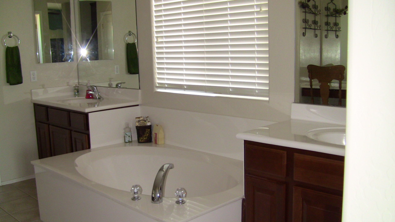 9302 West Rascon Loop Phoenix, AZ 85037 - Photo 11 of 20 Dual Sinks with garden tub in Mstr Bath!