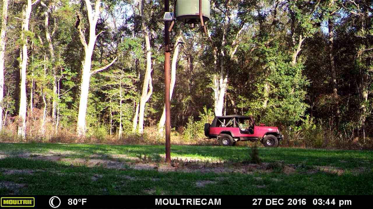 1 Federal Road Lamont, FL 32336 - Photo 9 of 12 Gallery Image 9