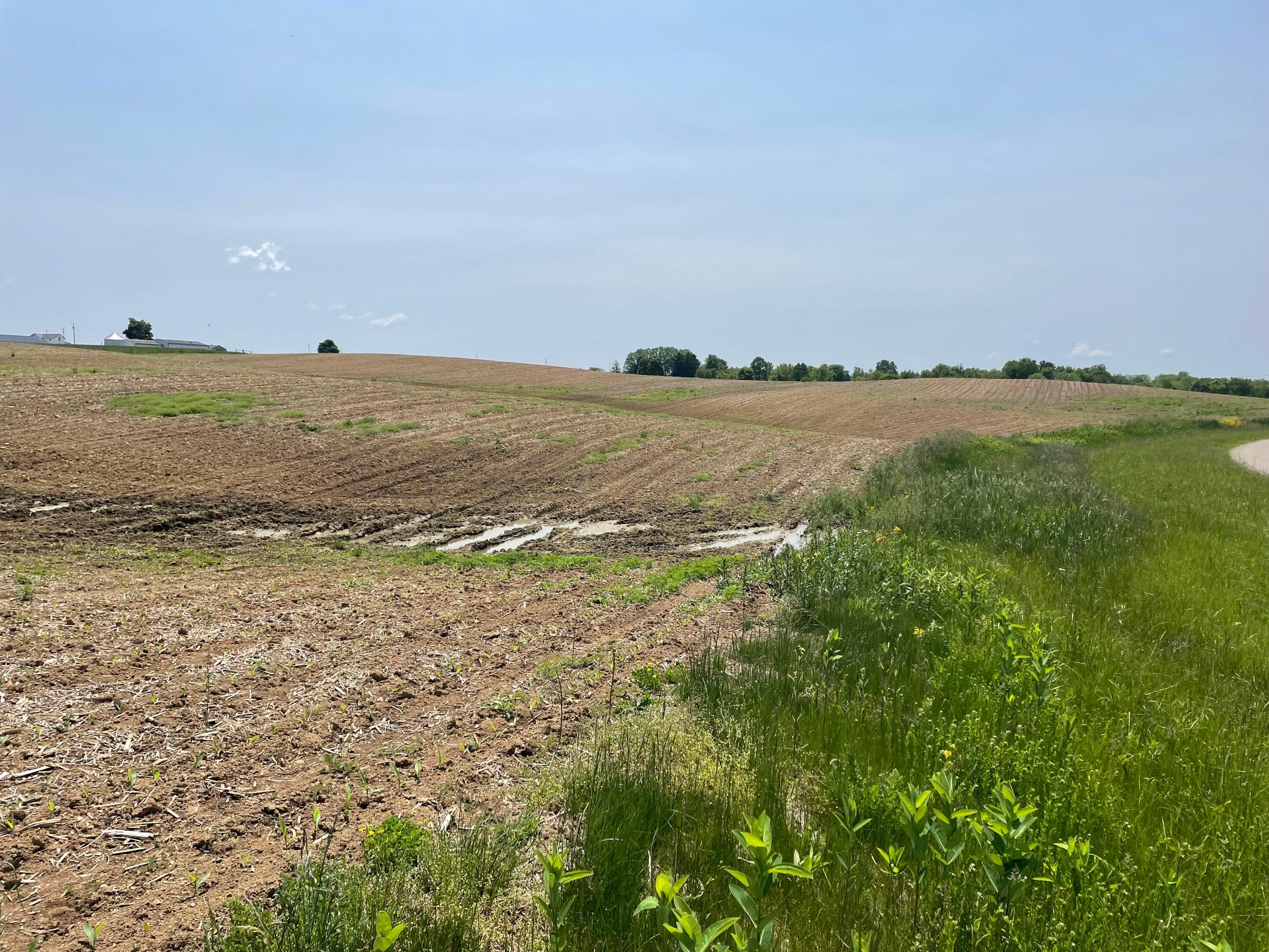 0 Strickler Road Southwest, Unit LOT 5 Amanda, OH 43102 - Photo 3 of 4 IMG-7472