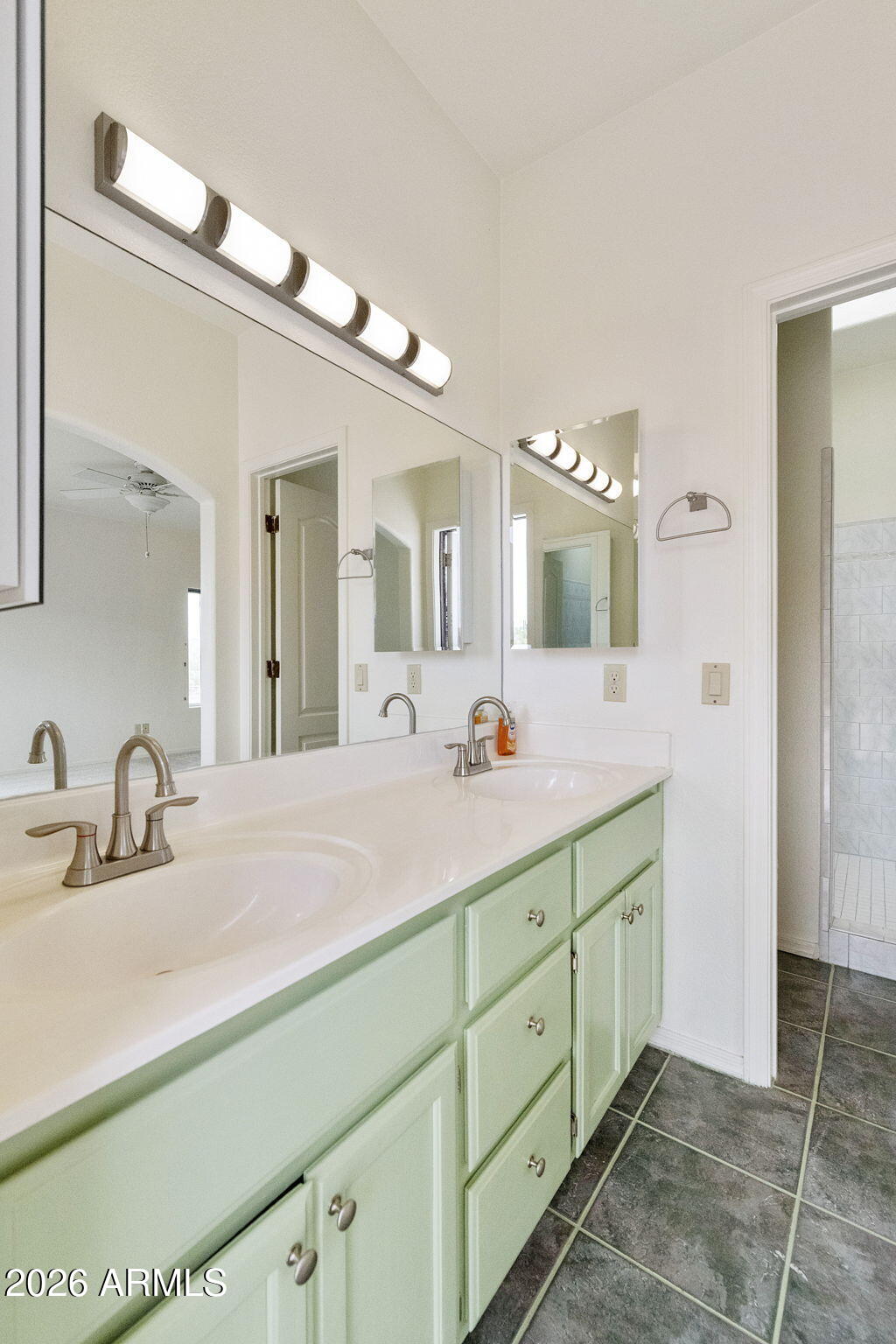 1775 North Mountain View Road Apache Junction, AZ 85119 - Photo 29 of 36 MV main bath