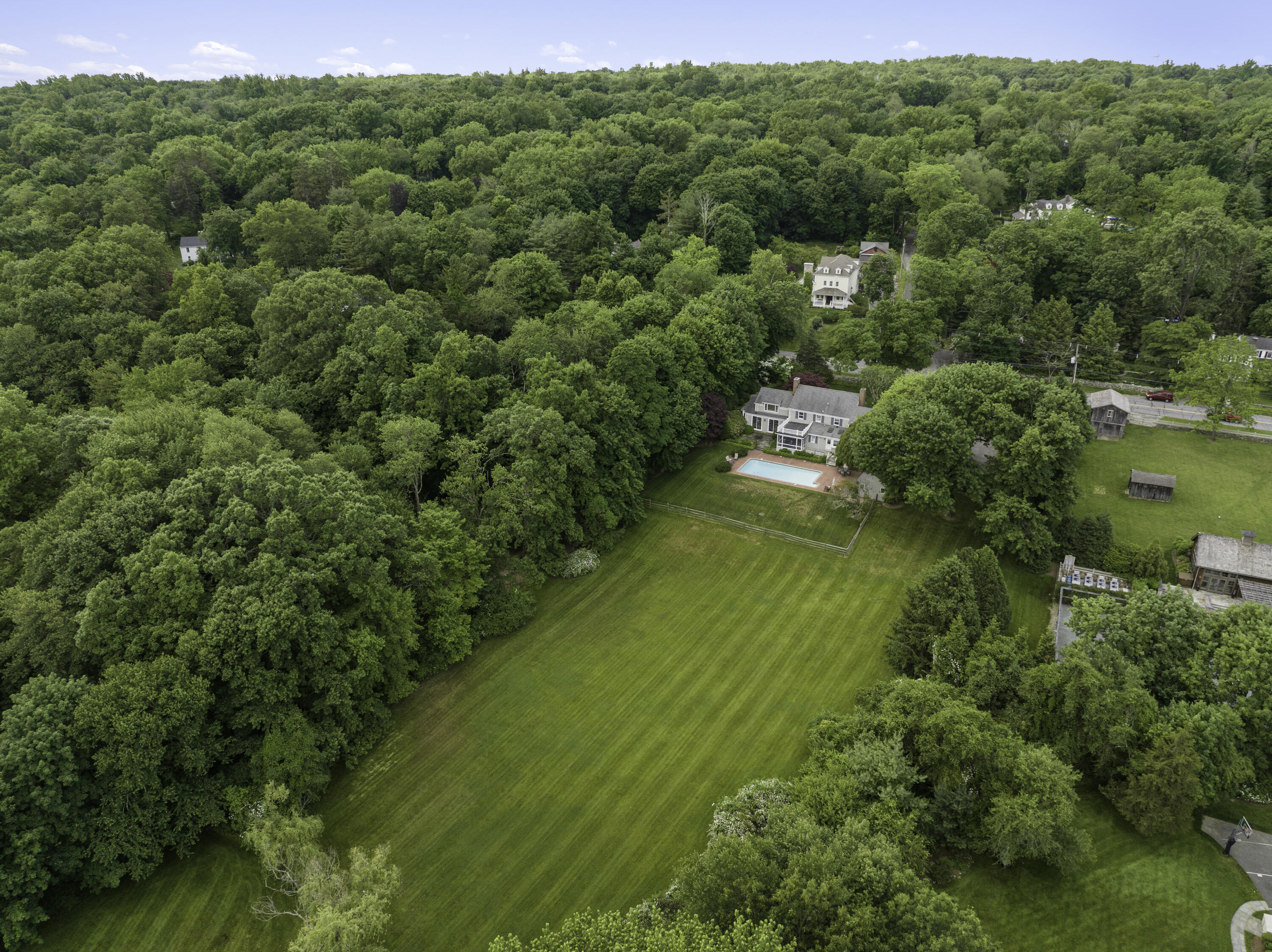 246 White Oak Shade Road New Canaan, CT 06840 - Photo 5 of 38 a view of a lush green forest with lots of trees
