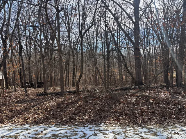 $4,500 | 374 Bonnie Court, Varna, IL 61375