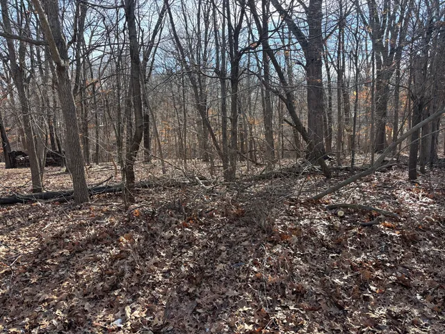 $4,500 | 374 Bonnie Court, Varna, IL 61375