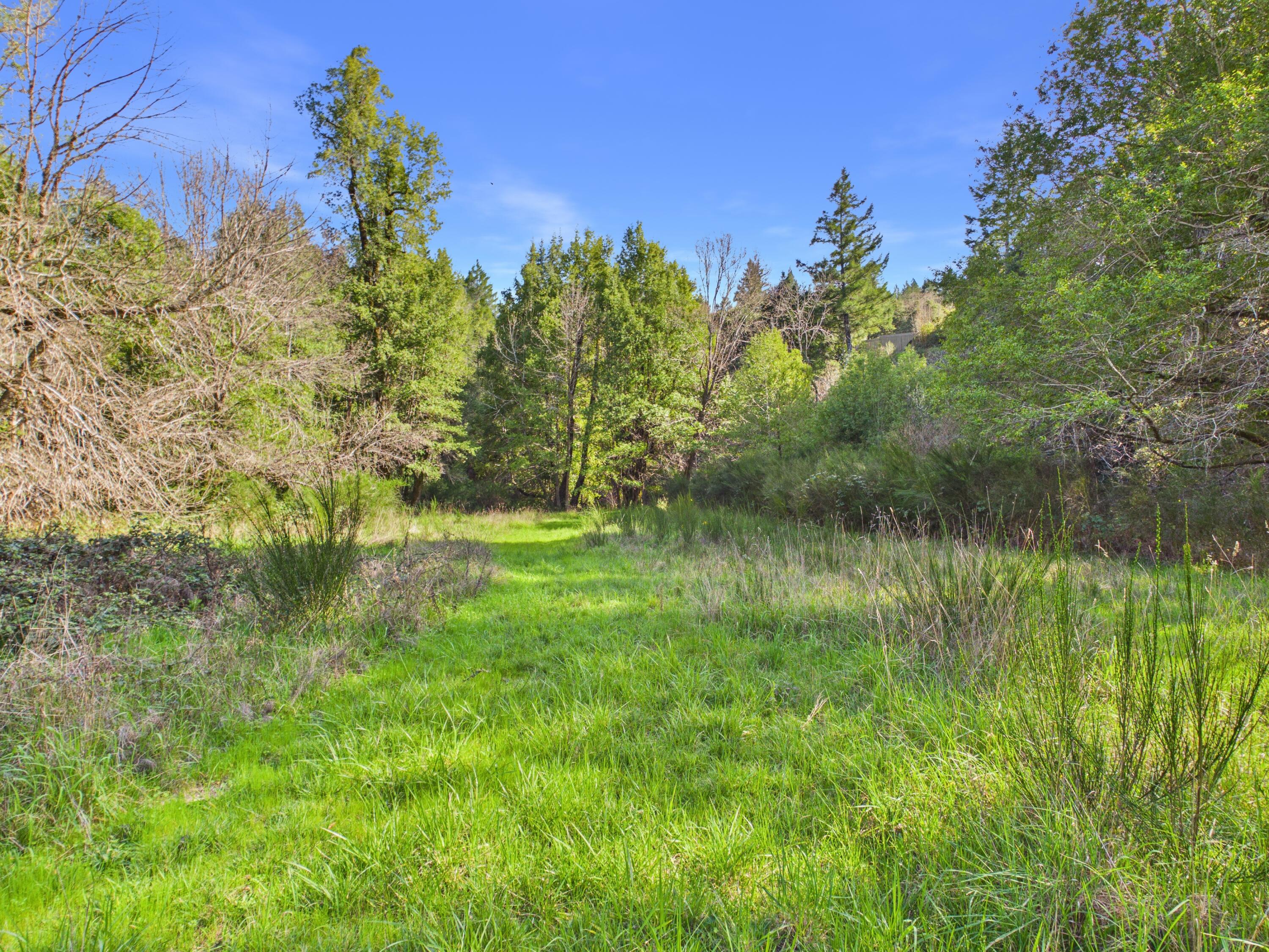 5350 Briceland Road Redway, CA 95560 - Photo 3 of 44