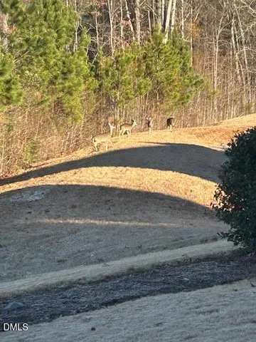 $389,750 | 106 Castien Cove Place, Apex, NC 27539