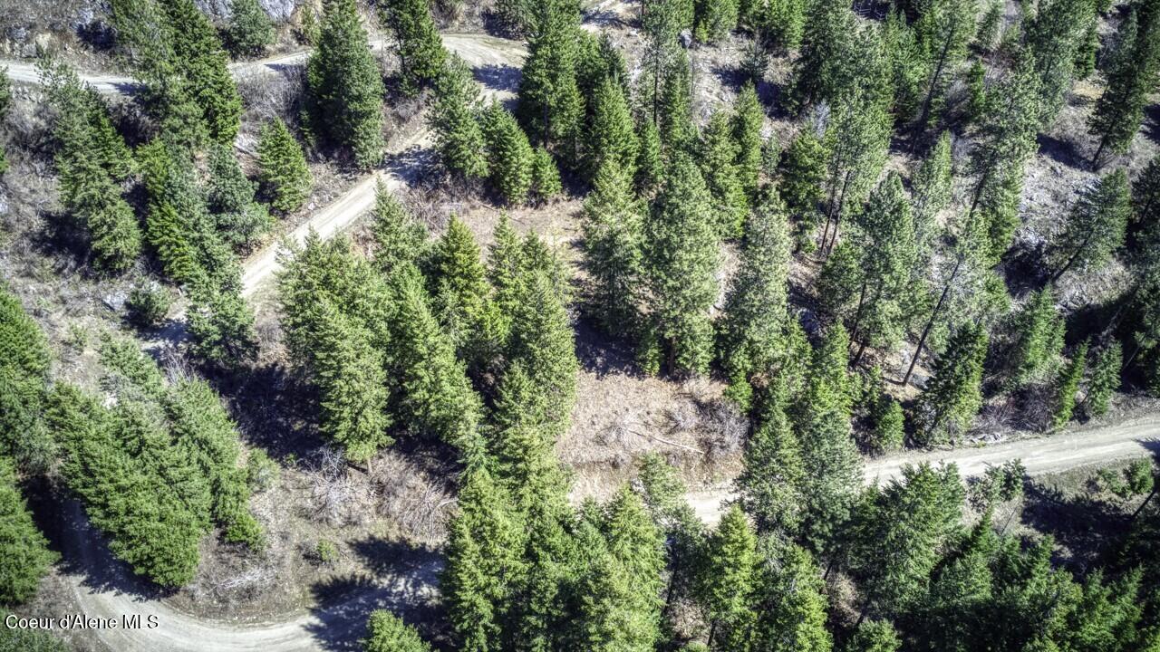 Nna Mays Road Sagle, ID 83860 - Photo 11 of 14 Cleared Road