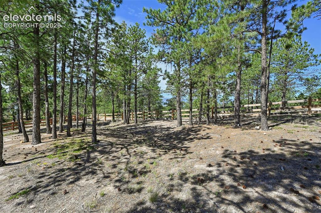 16232 Thunder Cat Way Monument, CO 80132 - Photo 49 of 49