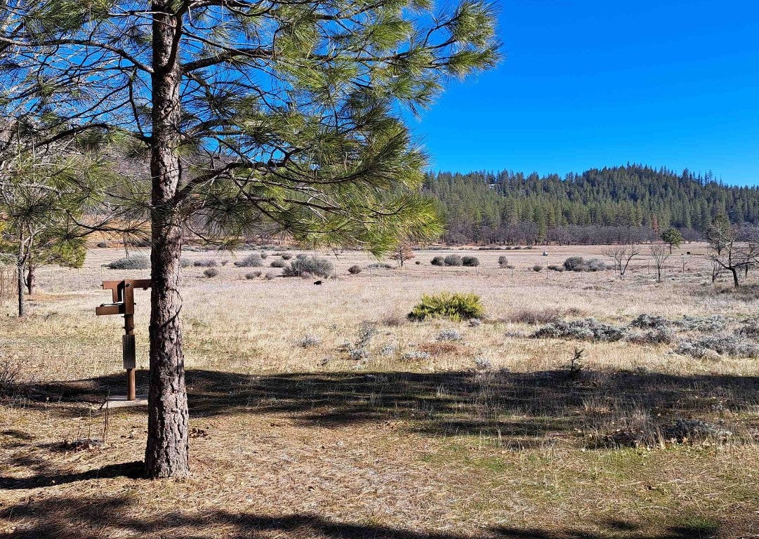 13731-13733 Rattlesnake Creek Road Fort Jones, CA 96032 - Photo 30 of 33 Gallery Image 30