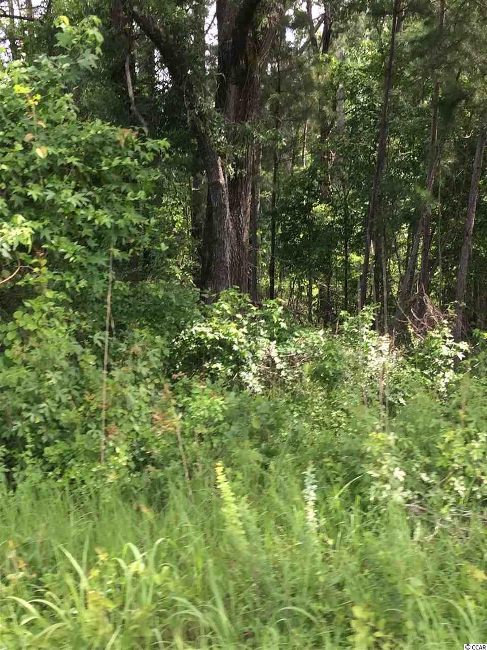 7316 Pauley Swamp Road Conway, SC 29527 - Photo 5 of 6