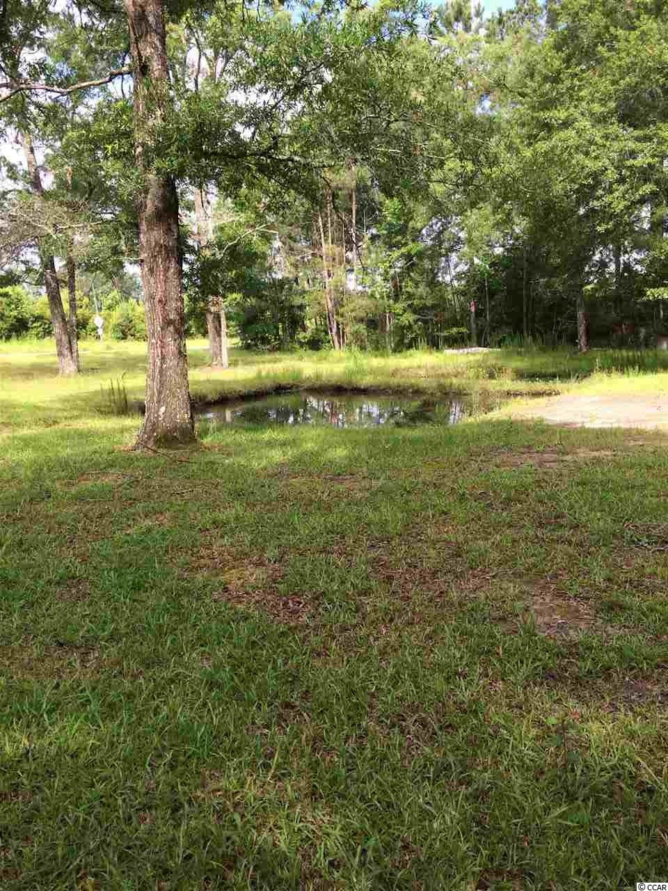7316 Pauley Swamp Road Conway, SC 29527 - Photo 6 of 6