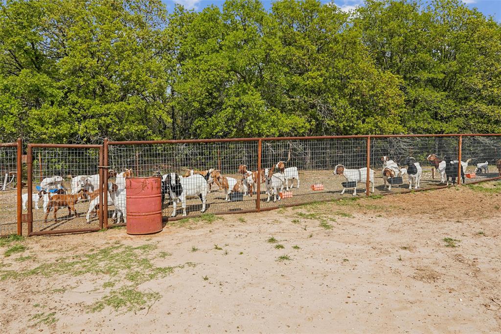 1406 North Johnson Loop Montague, TX 76251 - Photo 29 of 40