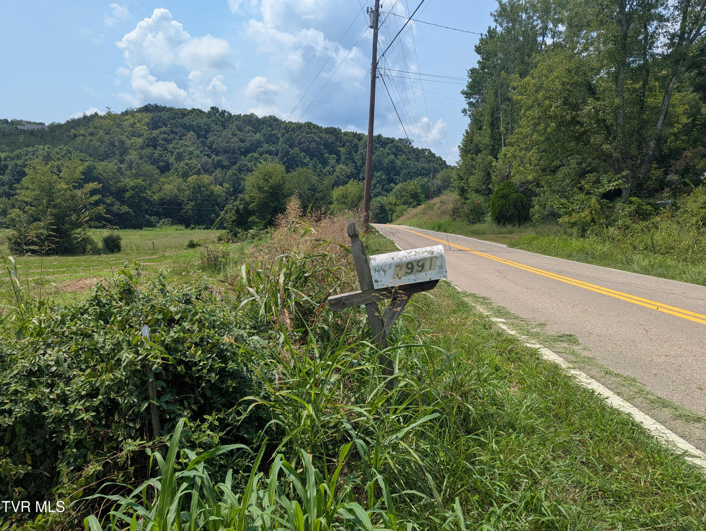 7991 Warrensburg Road Mosheim, TN 37818 - Photo 15 of 63 PXL_20260811_183145550
