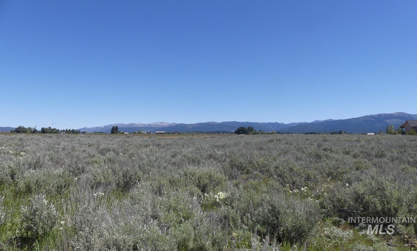 Lot 38 Nisula Road McCall, ID 83638 - Photo 13 of 35