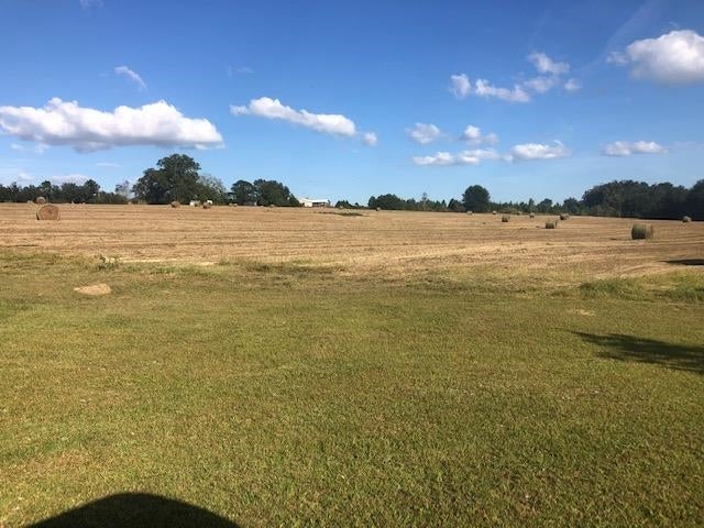 29-ac Easy Street Road Florala, AL 36442 - Photo 1 of 16 Gallery Image 1