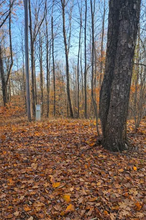 $26,000 | 8734 15 Mile Road, Paris, MI 49338