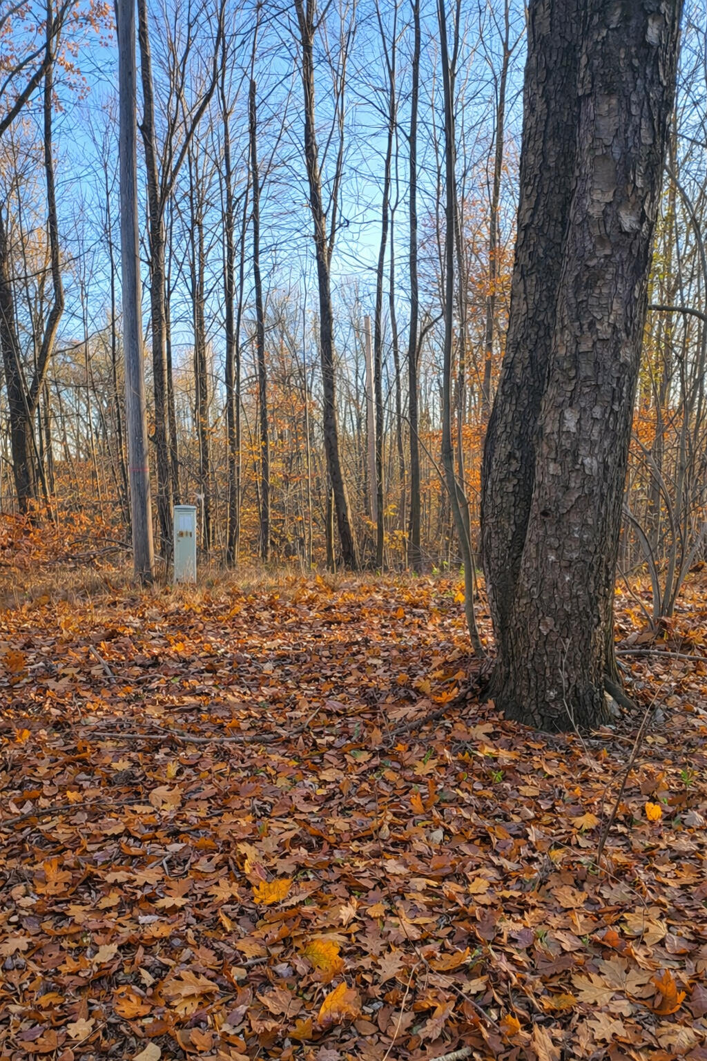 8734 15 Mile Road Paris, MI 49338 - Photo 13 of 15 13