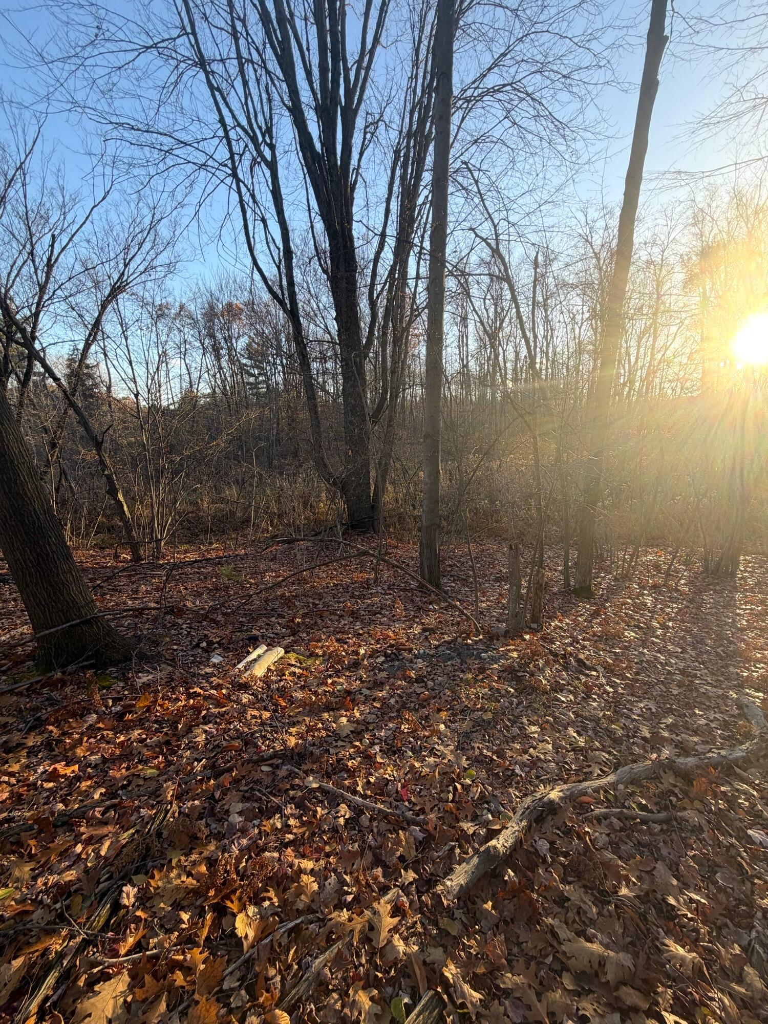 8734 15 Mile Road Paris, MI 49338 - Photo 15 of 16 14