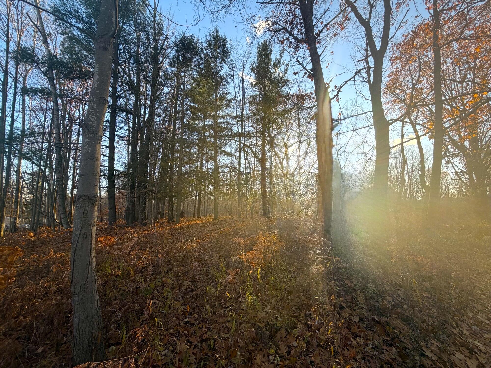 8734 15 Mile Road Paris, MI 49338 - Photo 16 of 16 15