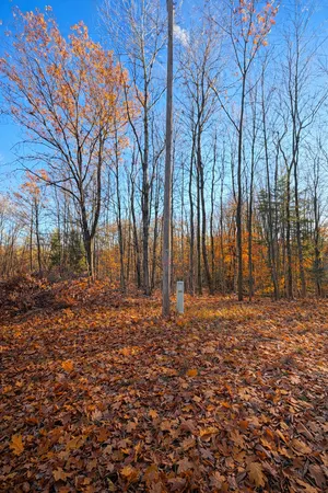 $26,000 | 8734 15 Mile Road, Paris, MI 49338