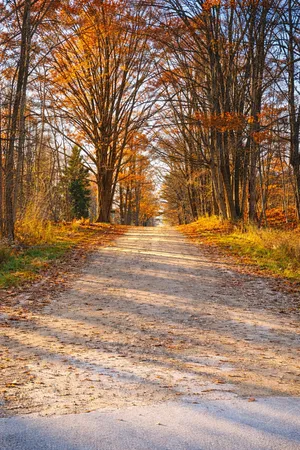 $26,000 | 8734 15 Mile Road, Paris, MI 49338