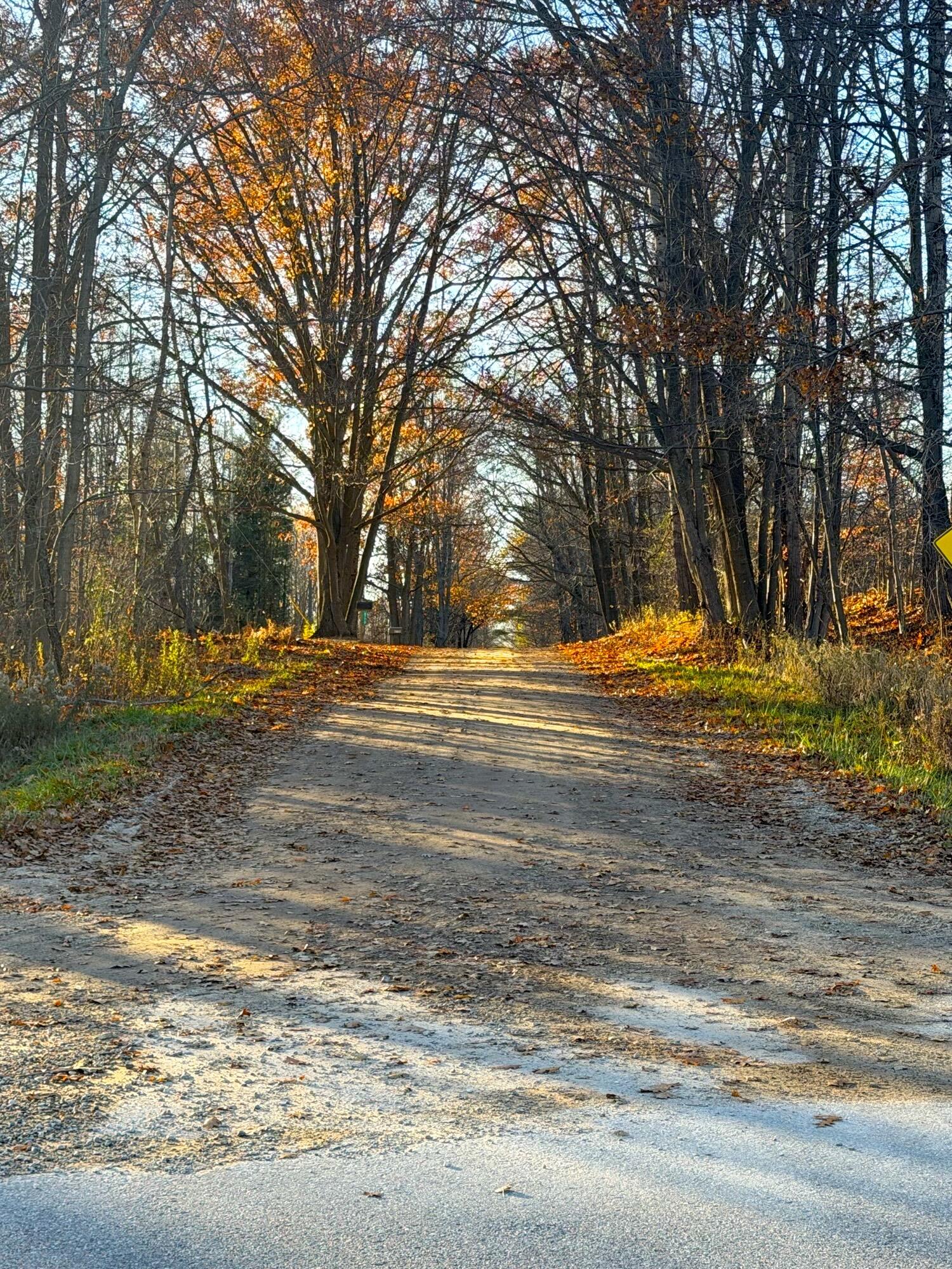 8734 15 Mile Road Paris, MI 49338 - Photo 4 of 16 3