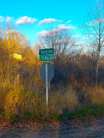 $26,000 | 8734 15 Mile Road, Paris, MI 49338