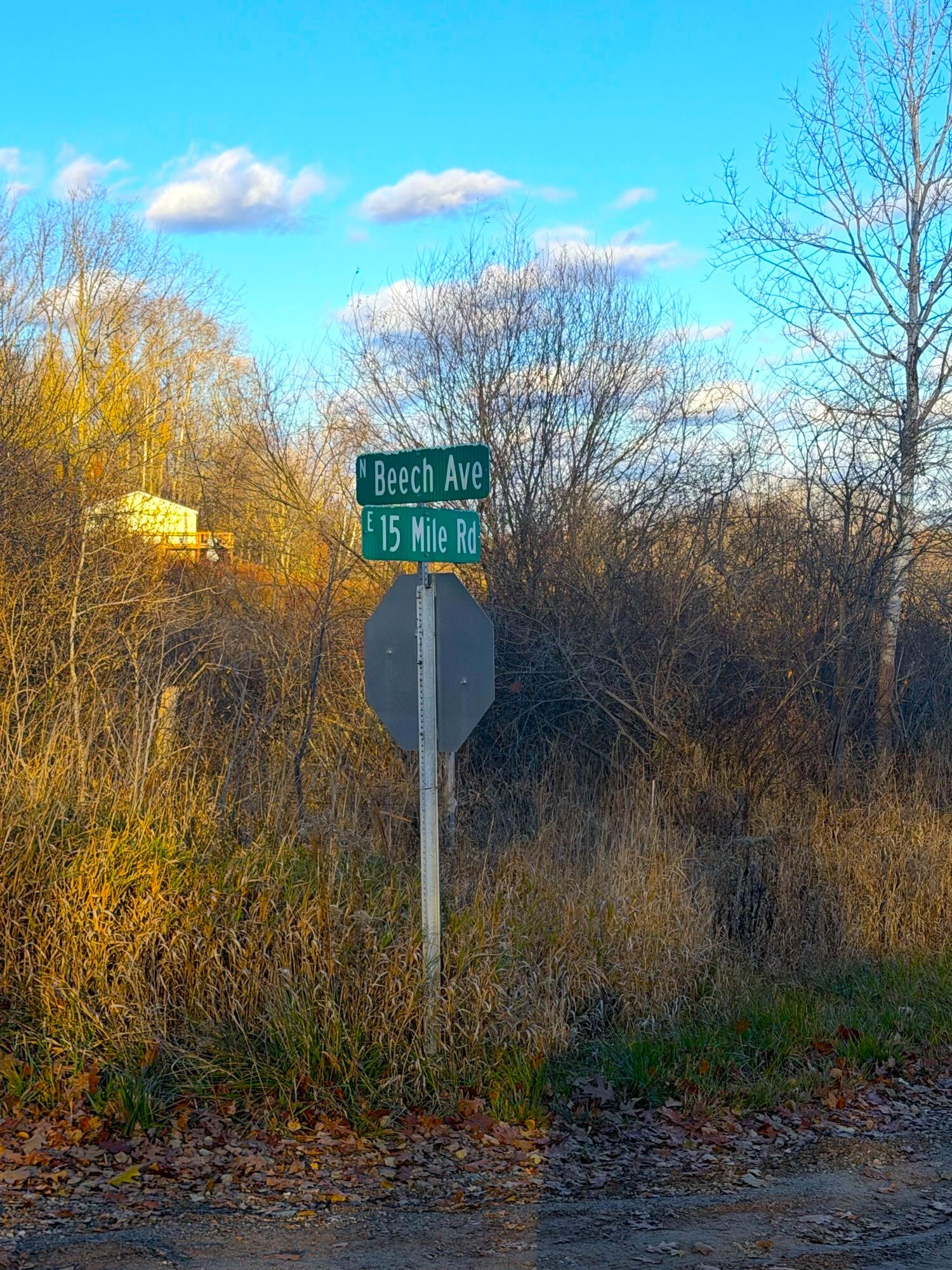 8734 15 Mile Road Paris, MI 49338 - Photo 5 of 15 5