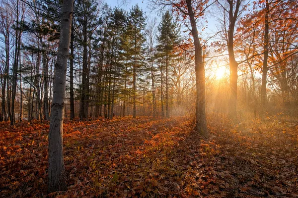 $26,000 | 8734 15 Mile Road, Paris, MI 49338