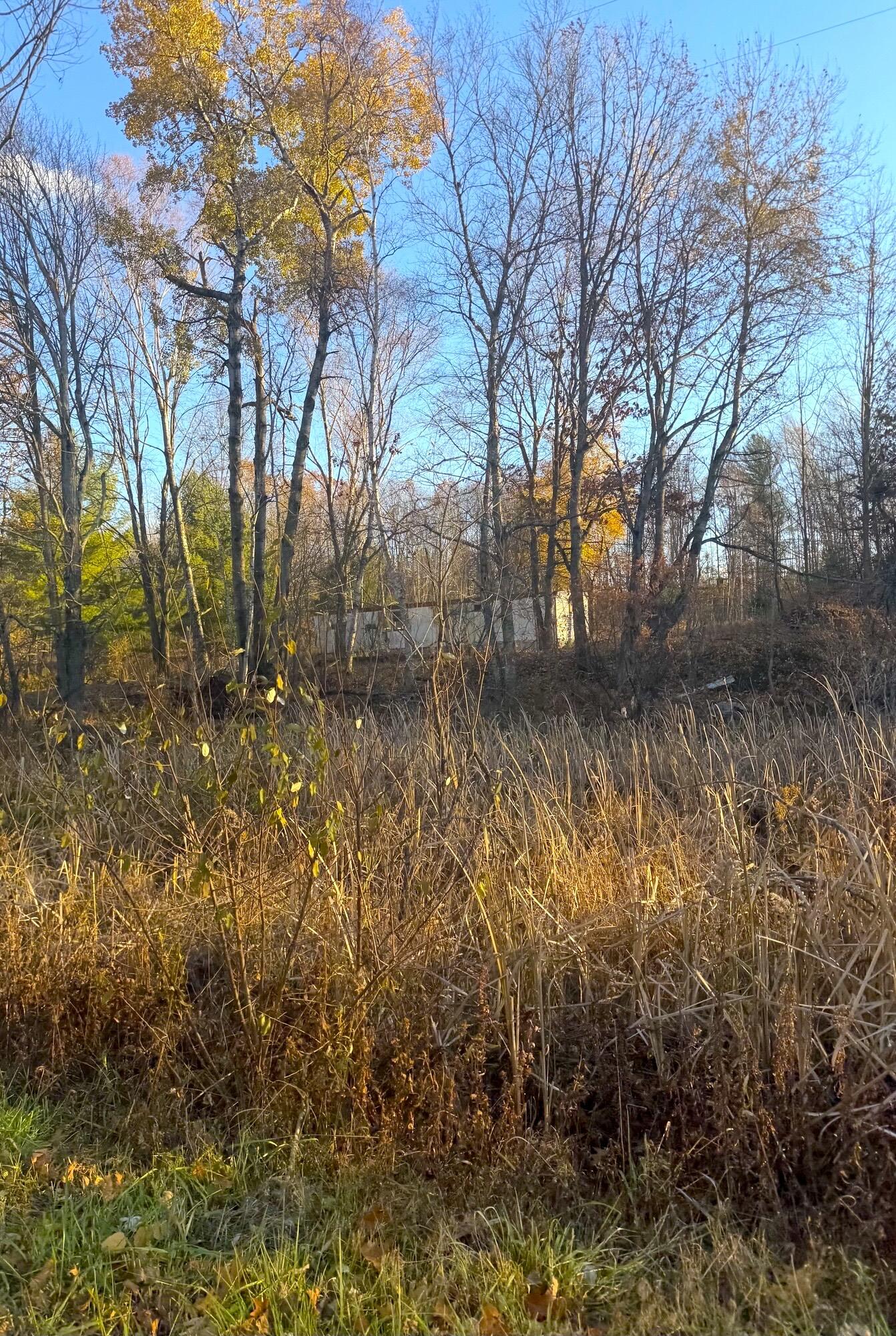 8734 15 Mile Road Paris, MI 49338 - Photo 9 of 16 8