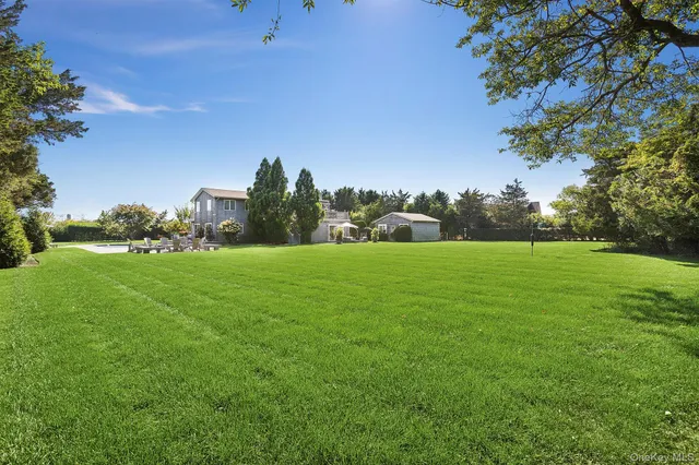 a view of field with tall trees