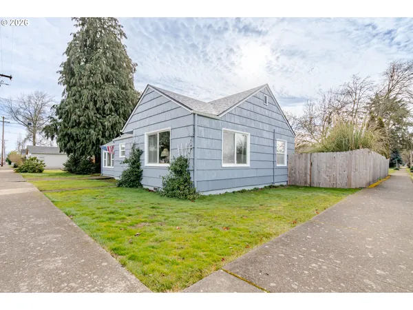 a view of a backyard with a garden and tree