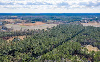 122 Deer Run Avenue Andrews, SC 29510 - Photo 3 of 10 EYE-2102