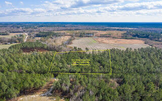 122 Deer Run Avenue Andrews, SC 29510 - Photo 4 of 10 EYE-2103