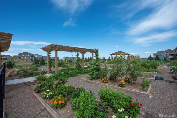 a garden view with a seating space