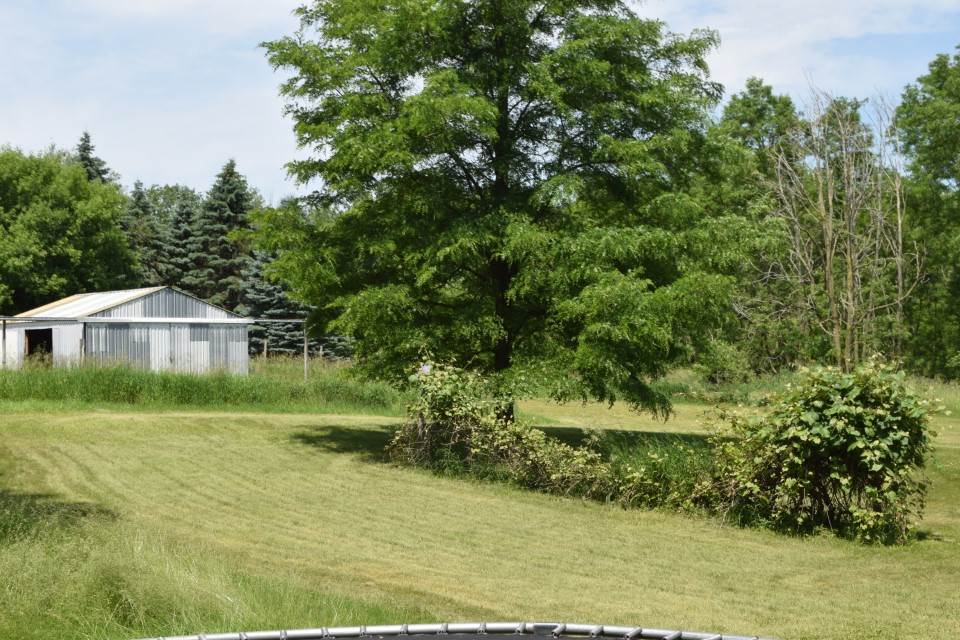 4870 South Meridian Road Mount Pleasant, MI 48858 - Photo 23 of 30 1872547-22.JPG