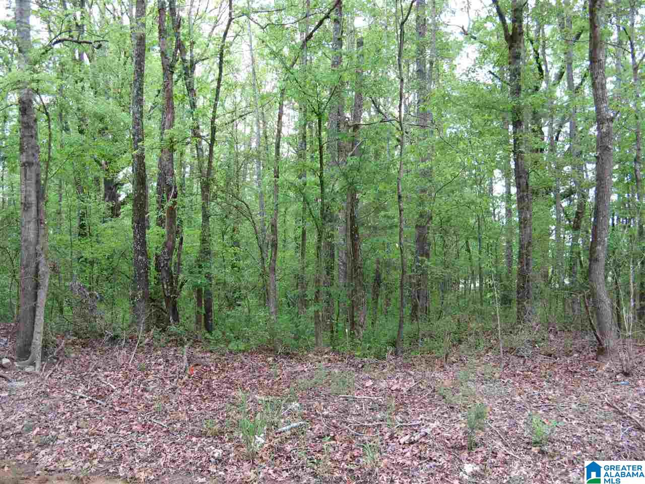 1 Pine Grove Road, Unit 4 Sylacauga, AL 35150 - Photo 1 of 3 Gallery Image 1