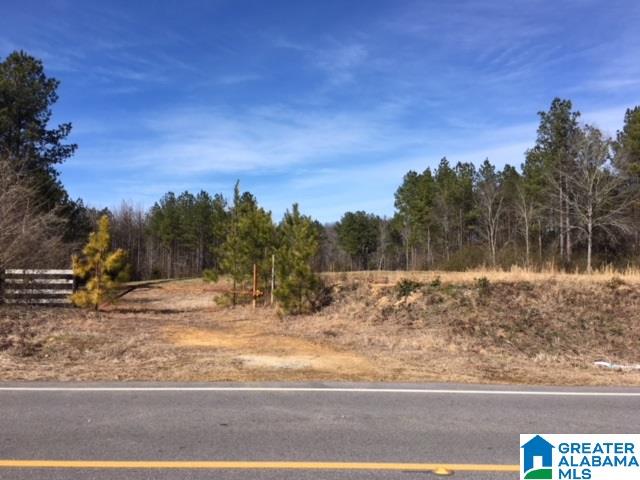 0 Shoal Creek Road, Unit 10 AC Ashville, AL 35953 - Photo 2 of 13