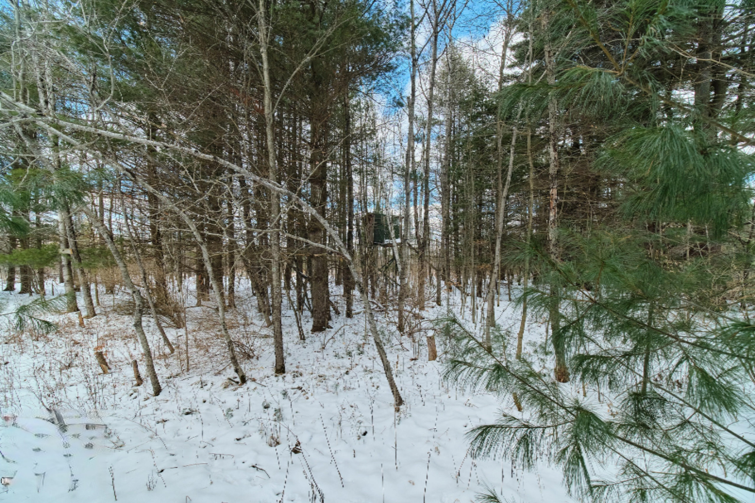 Nessen City Road Copemish, MI 49625 - Photo 11 of 31 Additional photo