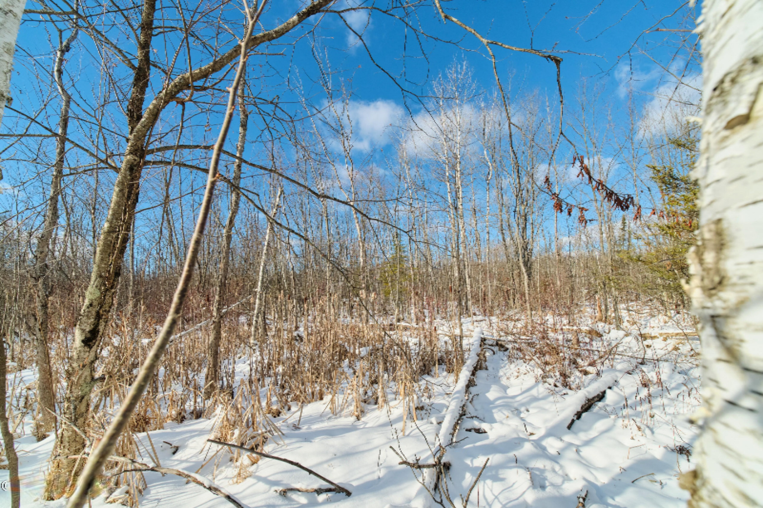 Nessen City Road Copemish, MI 49625 - Photo 22 of 31 Additional photo