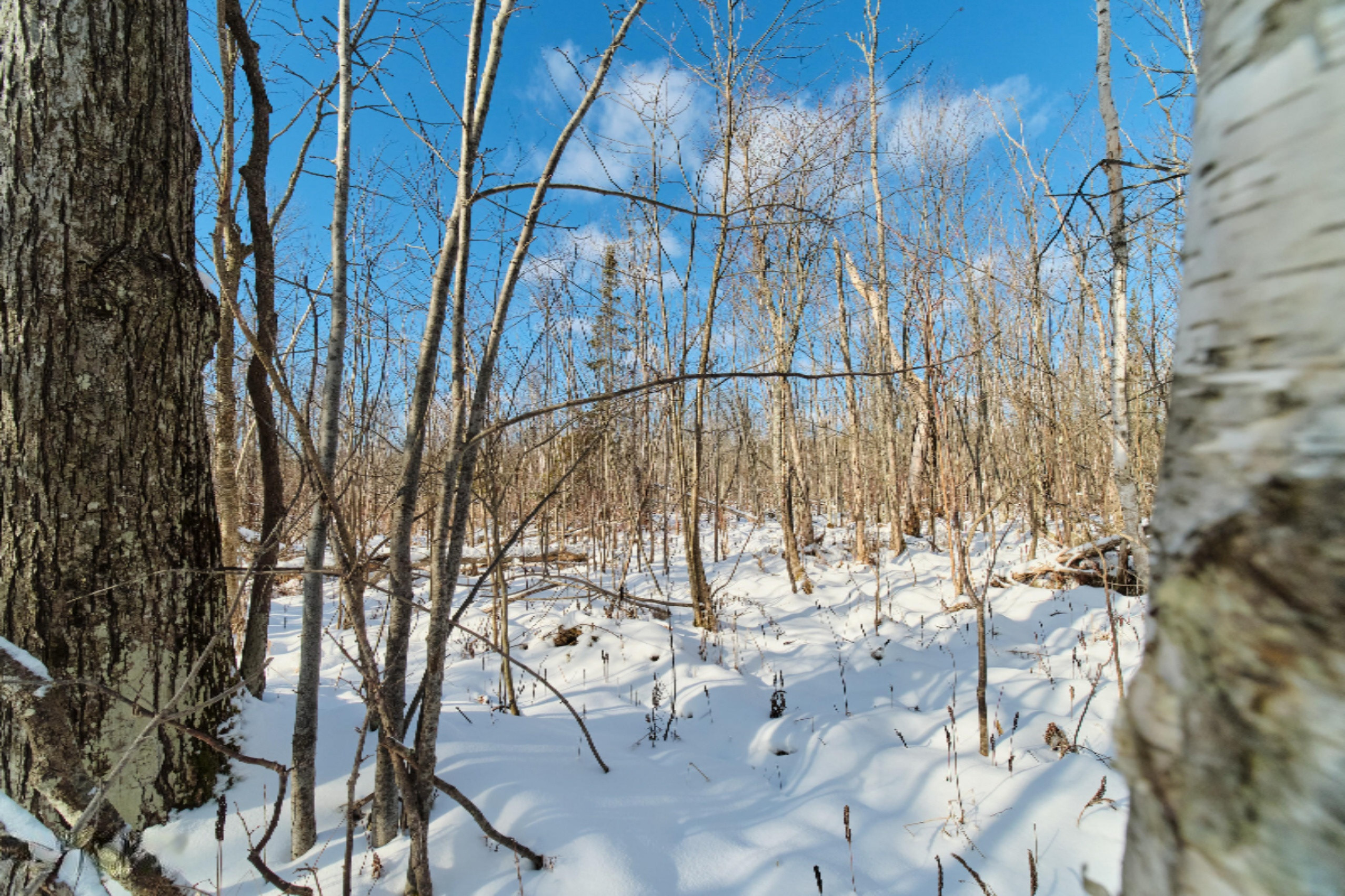 Nessen City Road Copemish, MI 49625 - Photo 23 of 31 Additional photo