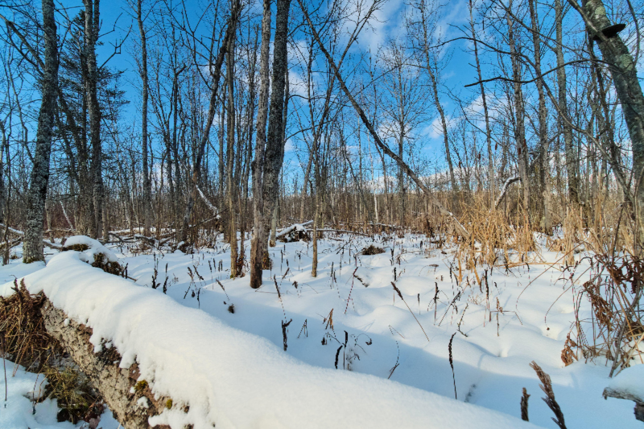 Nessen City Road Copemish, MI 49625 - Photo 24 of 31 Additional photo