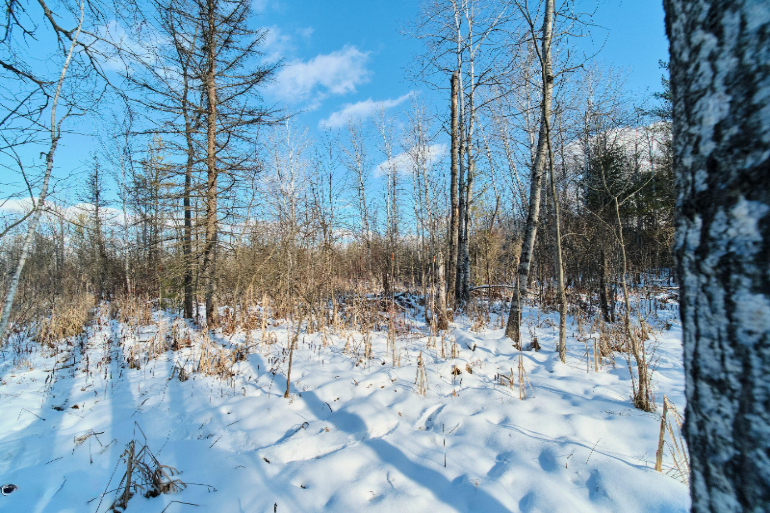 Nessen City Road Copemish, MI 49625 - Photo 30 of 31 Additional photo